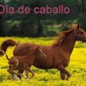  Diputado Joaquín Hernández propone  instituir el día del caballo en Tamaulipas