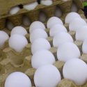 Prevé Agricultura crecimiento superior al 2 % en producción de huevo para plato y carne de ave este año
