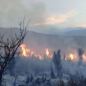  Prevén estrategias para combatir  incendios forestales en Miquihuana