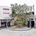  Sale caro llevar agua en  camiones cisterna: CEAT