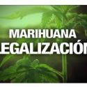  Posible legalización de la marihuana No detendrá labor preventiva del CIJ