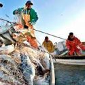  Impacta cambio climático en  vedas para la pesca de especies