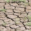  Sufren 8 municipios de Tabasco sequía extrema