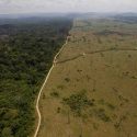  Deforestación en la Amazonía de Brasil crece a ritmo aterrador