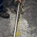  Reintegra Profepa un cocodrilo y una boa constrictor y tres venados cola blanca en Tamaulipas