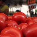  No afectará a Tamaulipas arancel del 17.5 al tomate