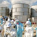  Puerto de Fukushima reanudará actividades