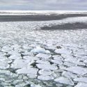  El deshielo en la Antártida alcanza cifras alarmantes