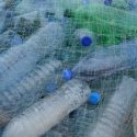  Francia prohibirá plástico de uso único desde 2020