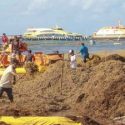  Turistas desdeñan playas por sargazo en Quintana Roo