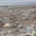  El 60 por ciento de las playas de EU están contaminadas