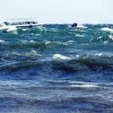  Alarma aparición de olas de 2 metros en el lago Titicaca