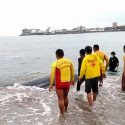  Muere ballena bebé que estaba varada en playa de Lima