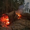  Despliega Brasil aviones para combatir nuevas llamas en el Amazonas