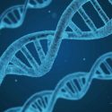  Nuevo estudio confirma que no existe un ‘gen gay’ en el ADN