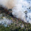  Arde la Amazonia sin control, con miles de incendios activos