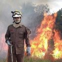  Más incendios en la Amazonia pese a labores de extinción
