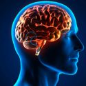  Hallan proteína del cerebro que retrasa avance del Alzheimer