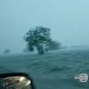  Califican de ‘bizarro’ a video de las inundaciones en Houston