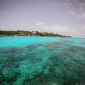 Cierran arrecifes de coral en Cozumel