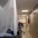 Suman 44 casos de dengue hemorrágico en Nuevo León