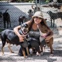  Mujer salva a 97 perritos callejeros del huracán ‘Dorian’
