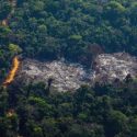  Presidentes alistan pacto para proteger al Amazonas
