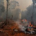  Fondo para la Amazonia permanecerá suspendido