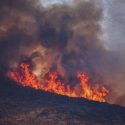  Declaran ‘zona de desastre’ a Rosarito por incendios forestales
