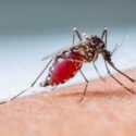  Desmiente salud alerta  por dengue en Reynosa