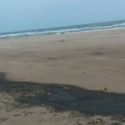  Sin noticias de Pemex sobre derrame de hidrocarburo en playa Miramar