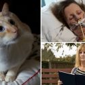 Abuelita entra en coma tras ser arañada por su gato