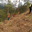  Comunidad oaxaqueña gana Premio Nacional al Mérito Forestal