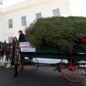  Llega la Navidad a la Casa Blanca; Melania recibe el árbol