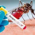  Preocupa aumento de contagios de dengue en Tamaulipas