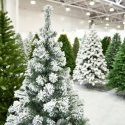  5 consejos para elegir el mejor árbol de navidad