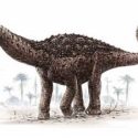  Hallan fósil de dinosaurio de 85 millones de años en Ecuador