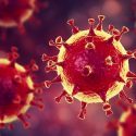  Exhortarían a la Federación, medidas  de prevención por coronavirus