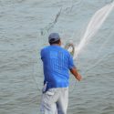  Pescadores podrían regresar a playa a realizar su actividad