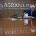  Anuncian Agricultura y gobierno de Campeche comité de evaluación de daños por tormentas tropicales en el sector agrícola y pecuario