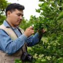  Conmemora Agricultura el 120 aniversario del inicio del manejo fitosanitario en México