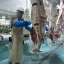  Prepara Agricultura a ganaderos de Zacatecas para exportar carne de res a China