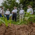  Supera programa de Fertilizantes en Guerrero la atención a 280 mil productores