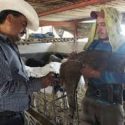  Impulsa Agricultura buenas prácticas en el uso de insumos para la producción y salud animal