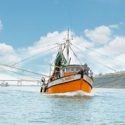  Anuncia Agricultura levantamiento de veda de camarón en el océano Pacífico y Golfo de California