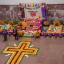  Atendida la demanda nacional de Flor de Cempoalxochitl, tradición que llena nuestros altares