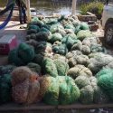  Retiene Conapesca, de manera precautoria, más de 112 mil kilos de producto pesquero y acuícola