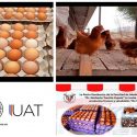  Promueve la FMVZ-UAT tienda de productos frescos y saludables