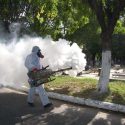  Piden fumigar contra el dengue, ya hay 4 muertos