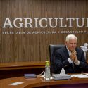  Impulsa Agricultura fortalecimiento de acciones de sanidad e inocuidad en el sector pecuario nacional
